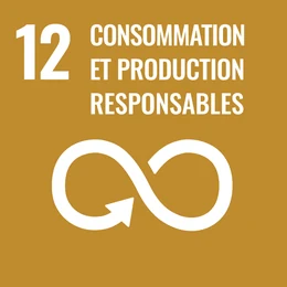 Objectif 12 : Consommation et production responsables
